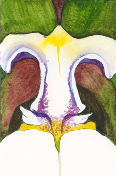 Click here to view Orchid II by Marcia J Popp