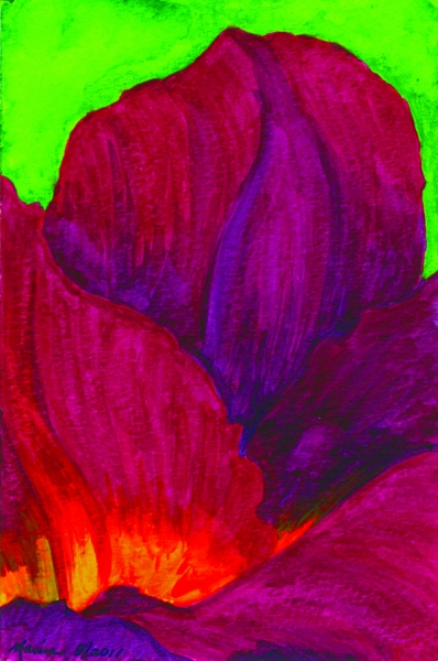 Click here to view Red Hibiscus I by Marcia J Popp