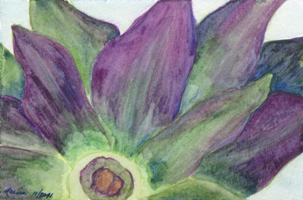 Click here to view Purple Artichoke by Marcia J Popp