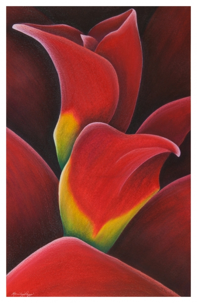 Click here to view Ruby Calyx by Marcia J Popp