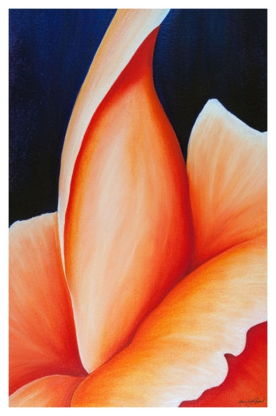 Click here to view Sword Lily by Marcia J Popp