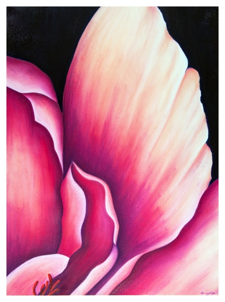 Click here to view Blush Too by Marcia J Popp